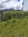 1000058608.webp