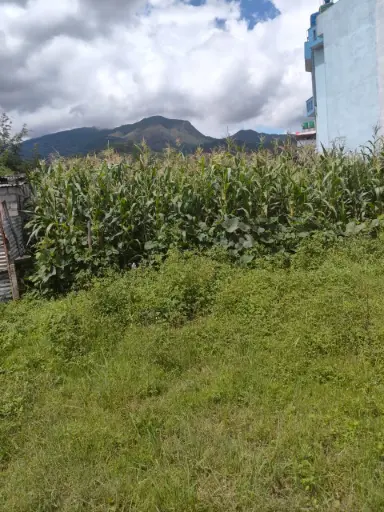 Land for sale in Budanilkantha
